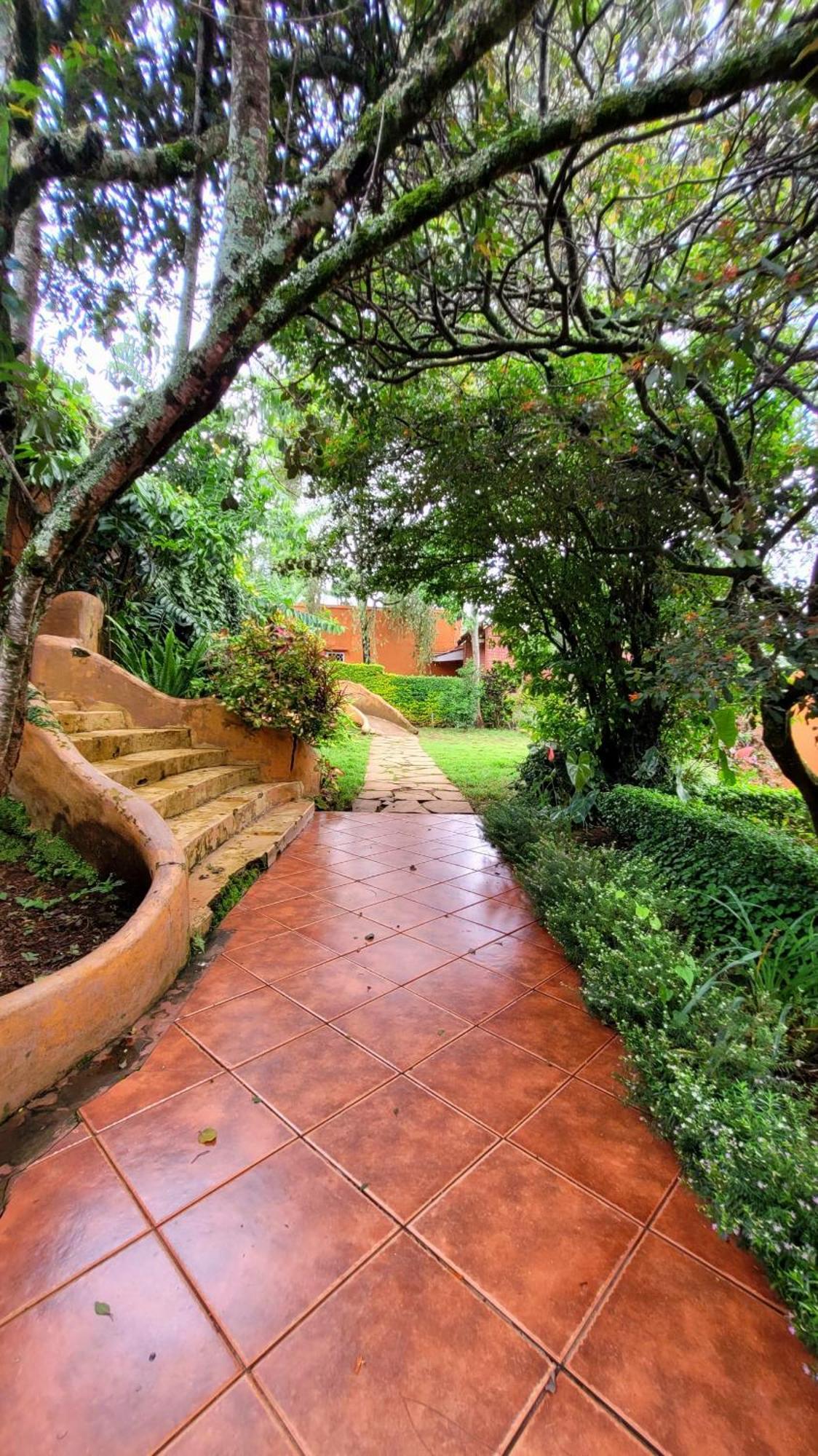 Babylon Lodge Marangu Εξωτερικό φωτογραφία