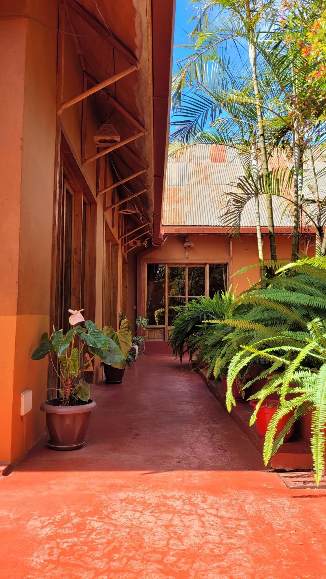 Babylon Lodge Marangu Εξωτερικό φωτογραφία