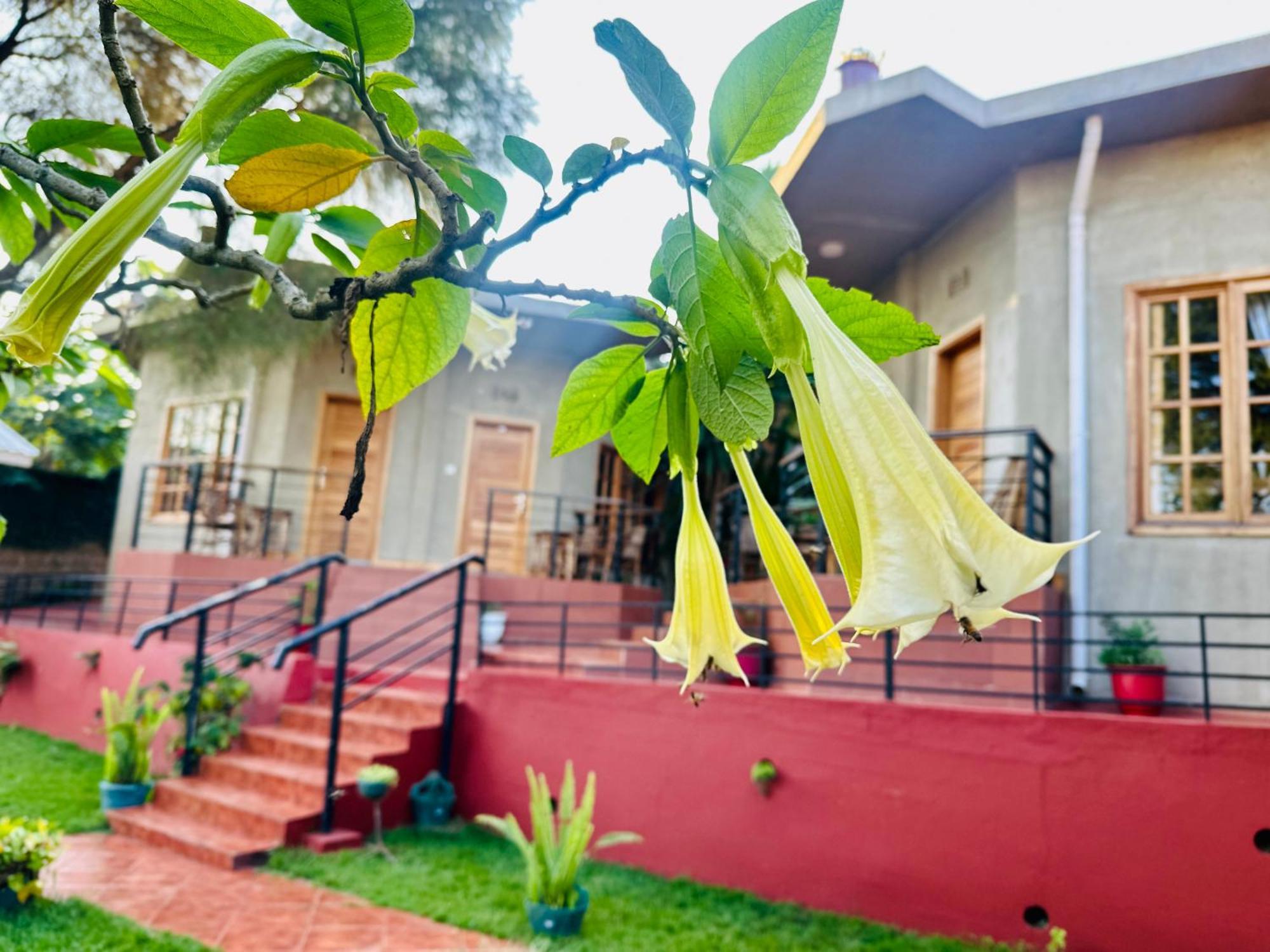 Babylon Lodge Marangu Εξωτερικό φωτογραφία